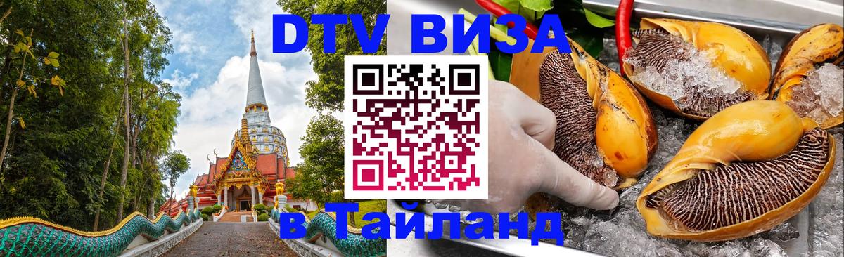 Сколько стоит DTV виза — актуальные цены, оформление даже без документов - 